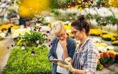 Garden Vision